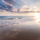 Y8176JFgaryk