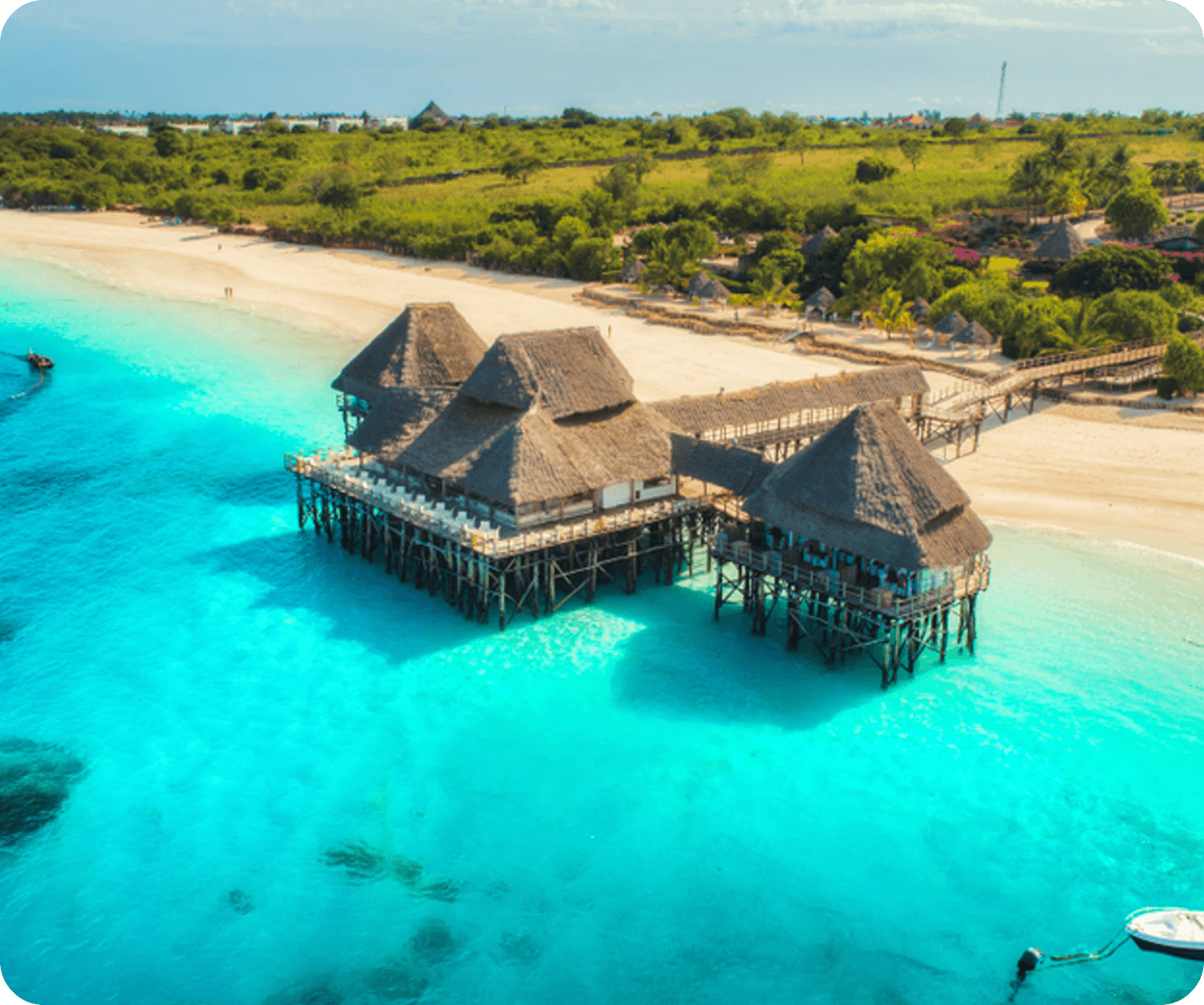 Business Class Experience Done Right, from Meals to Lounges