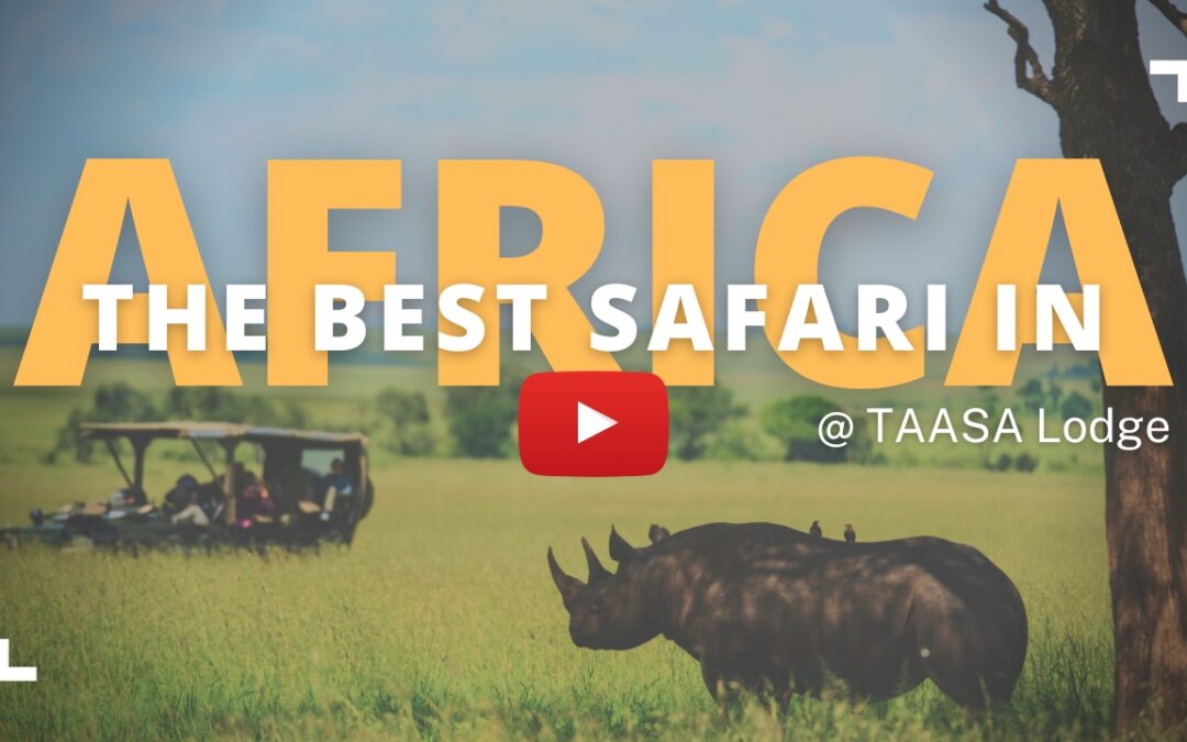 “The Best Safari In Africa” YouTube Video Is Live