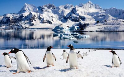 Antarctica “Frozen Wilderness” Now Booking